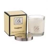 Be Enlightened Petite Candle 100g - Frangipani