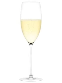 Plumm Vintage Sparkling Wine Glasses, Set Of 2