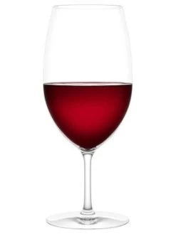 Plumm Outdoors Red Or White Unbreakable Wine Glasses, Set Of 4