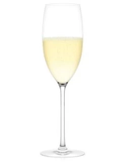 Plumm Outdoors Sparkling Unbreakable Wine Glasses, Set Of 4