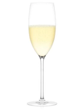 Plumm Outdoors Sparkling Unbreakable Wine Glasses, Set Of 4