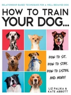 How To Train Your Dog
